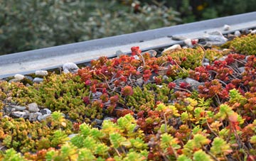 the cost of Loxhore green roof installation