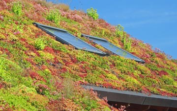 Loxhore living roof systems