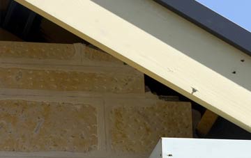 soffit repair Loxhore